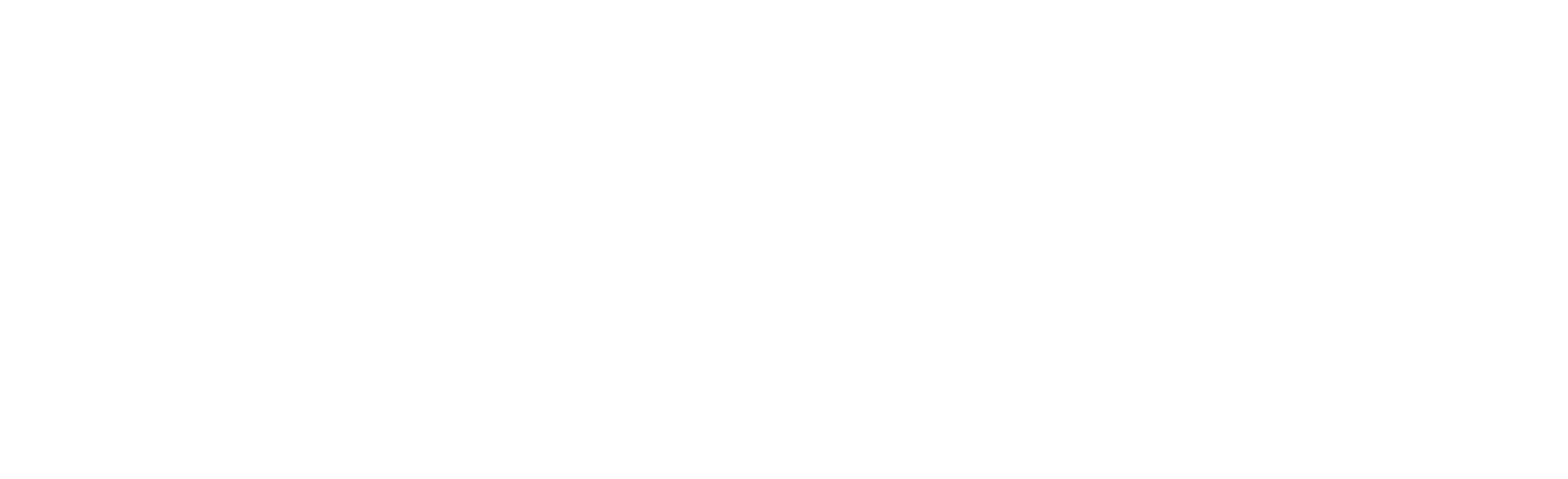 Sonepar-logo-White-RGB