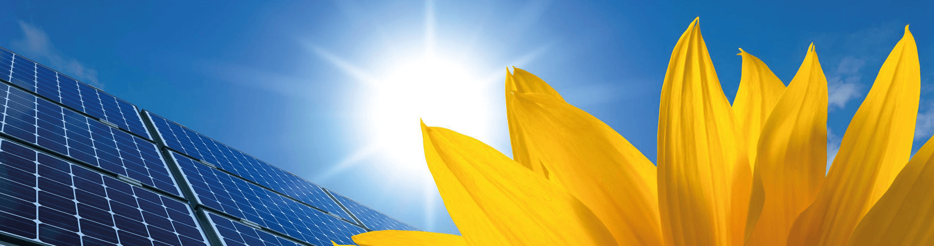 fotovoltaica renovables sonepar