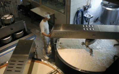 ALIMENTACIÓN Y BEBIDAS